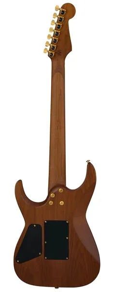 Charvel Angel Vivaldi PM DK24 GT7 Nat, detalje 2