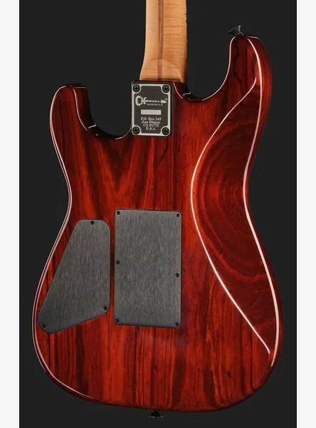 Charvel Custom Shop USA San Dimas BT, detalje 5