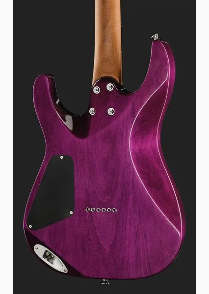 Charvel Pro Mod Plus DK24 VRAD, detalje 5