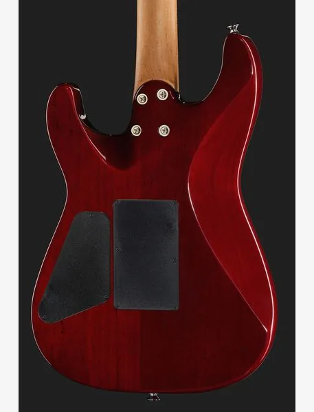 Charvel Pro-Mod Plus San Dimas FR SB, detalje 5