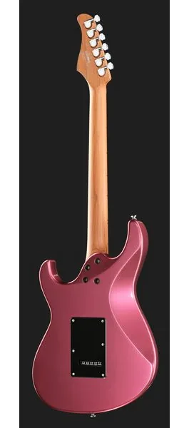 Cort G250 SE Vivid Burgundy, detalje 3
