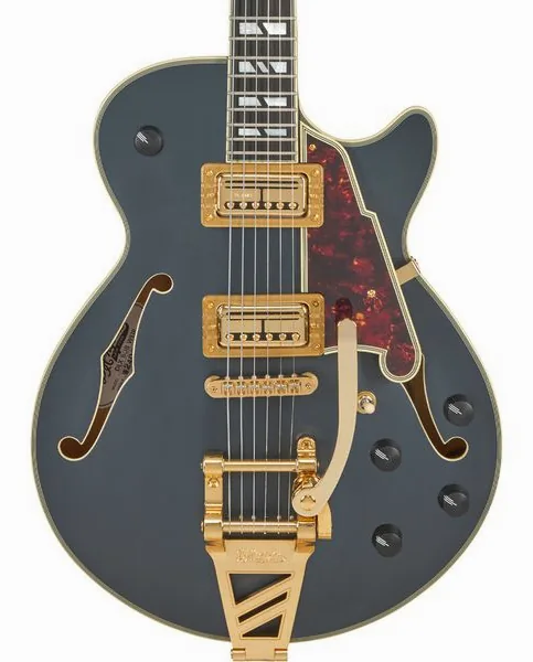 DAngelico Deluxe Bobby Weir 3 MS, detalje 4