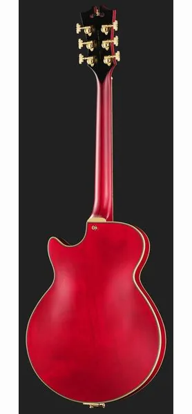 DAngelico Deluxe Bobby Weir 3 STW, detalje 3