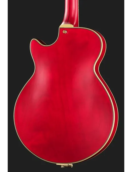 DAngelico Deluxe Bobby Weir 3 STW, detalje 5