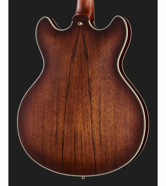 DAngelico Deluxe DC Satin Brown Burst, detalje 5