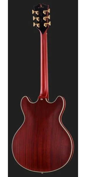 DAngelico Deluxe DC Satin Trans Wine, detalje 3