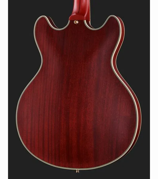 DAngelico Deluxe DC Satin Trans Wine, detalje 5