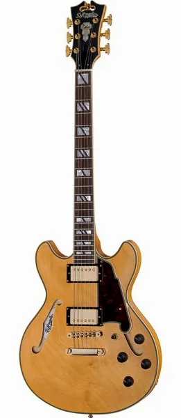 DAngelico Deluxe Mini DC Satin Honey set forfra