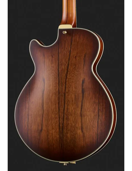 DAngelico Deluxe SS Satin Brown Burst, detalje 5