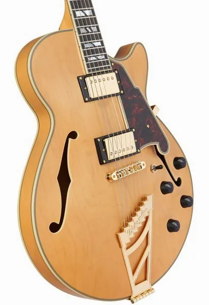 DAngelico Deluxe SS Satin Honey, detalje 5