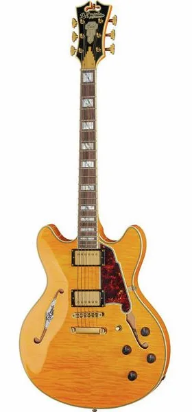 DAngelico Excel DC Vintage Natural set forfra