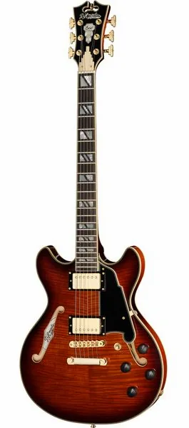 DAngelico Excel Mini DC Amaretto Burst set forfra