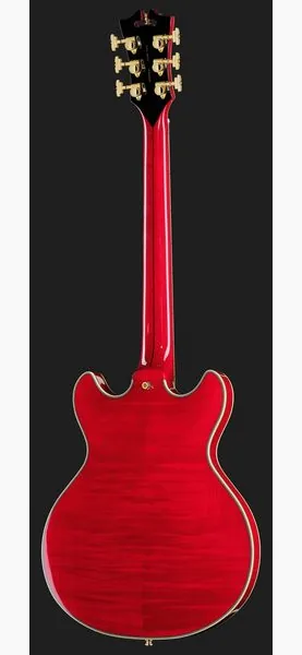DAngelico Excel Mini DC Trans Cherry 25, detalje 3