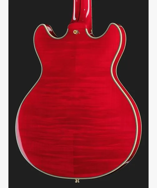 DAngelico Excel Mini DC Trans Cherry 25, detalje 5