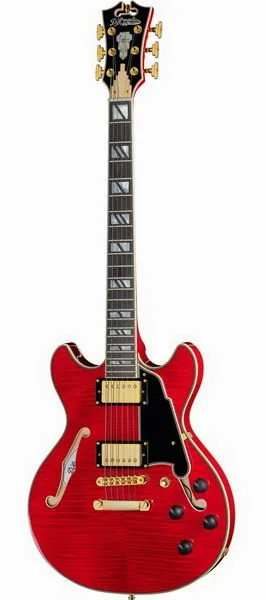 DAngelico Excel Mini DC Trans Cherry 25 set forfra