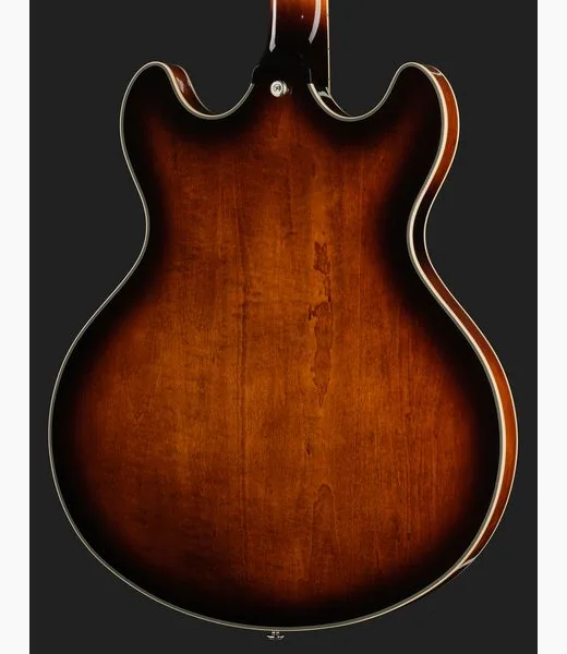 DAngelico Premier DC Brown Burst, detalje 5