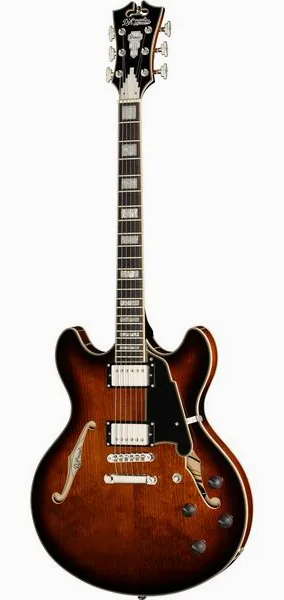 DAngelico Premier DC Brown Burst set forfra
