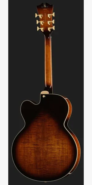 DAngelico Premier EXL1 Brown Burst, detalje 3