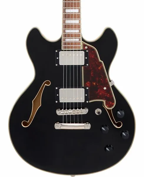 DAngelico Premier Mini DC Solid Black, detalje 4