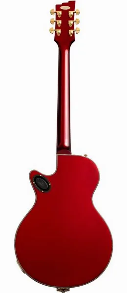 Duesenberg Starplayer TV Phonic Balboa PR, detalje 3