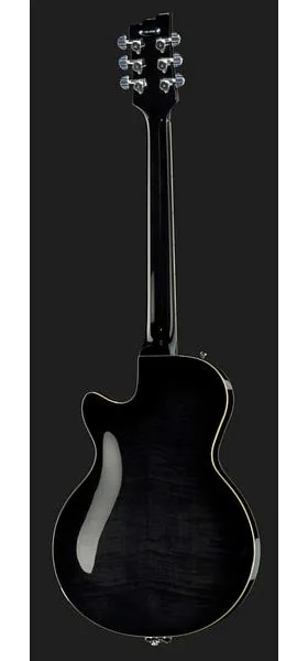 Duesenberg Starplayer TV Plus BK, detalje 3