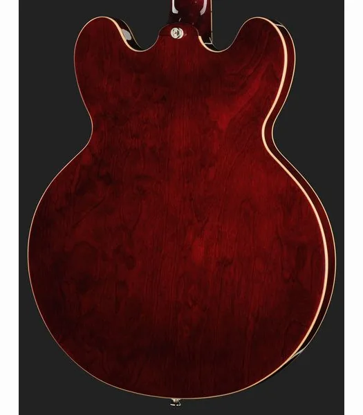 Epiphone Noel Gallagher Riviera, detalje 5