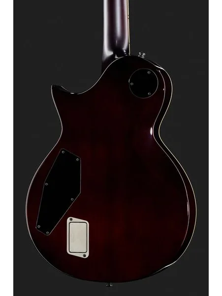 ESP E-II Eclipse FT FM TSB, detalje 5