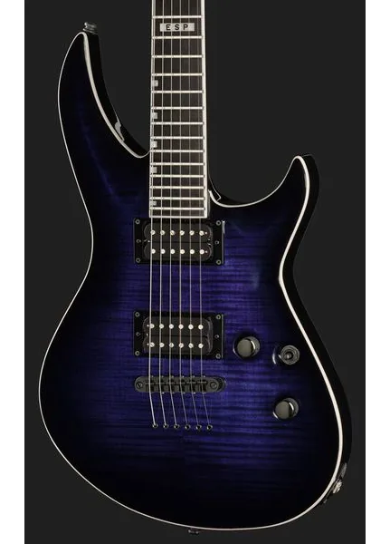 ESP E-II Horizon-III FM RDB, detalje 4