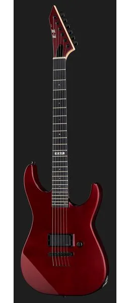 ESP E-II M-I NT DCARS, detalje 2