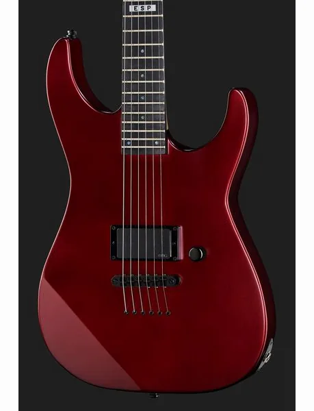 ESP E-II M-I NT DCARS, detalje 4