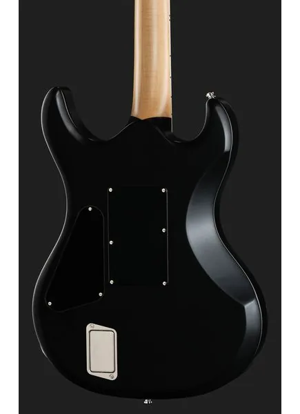 ESP E-II RZK-I Fluence, detalje 5