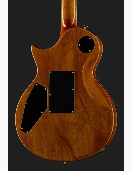 ESP Eclipse FR QM SD TES, detalje 5