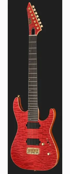ESP M7B HT RASPBERRY GH EMG, detalje 2
