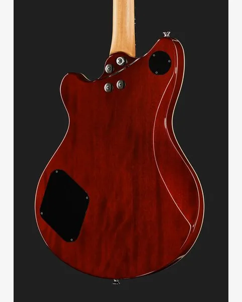 Evh SA-126 Special QM El Natural, detalje 5