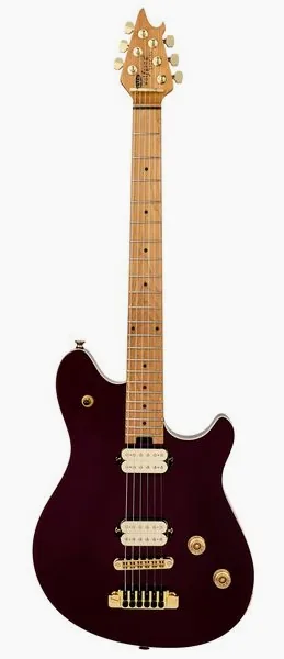 Evh Wolfgang Special T.O.M OXB set forfra