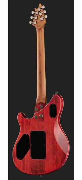 Evh Wolfgang WG Std Exotic BW, detalje 3