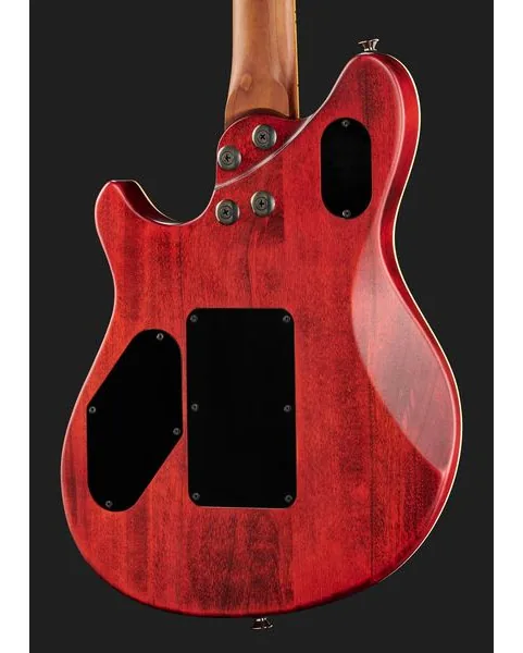 Evh Wolfgang WG Std Exotic BW, detalje 5