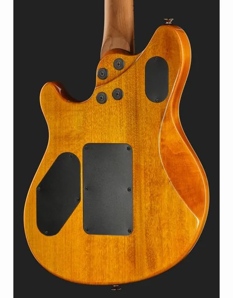 Evh Wolfgang WG Std QM TA, detalje 5