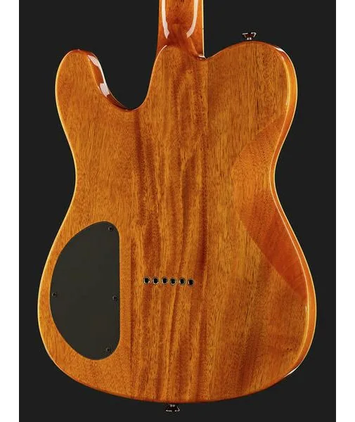 Fender Custom Telecaster FMT HH AM IL, detalje 5