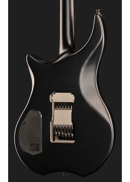Framus Devin Townsend Stormbender Bl, detalje 5