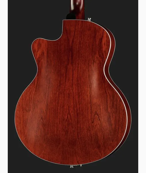 Godin 5th Avenue Uptown Custom BR, detalje 5