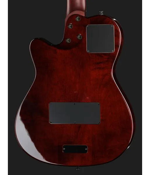 Godin A12 Ultra Dlx Lightburst, detalje 5
