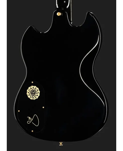 Guild Polara Kim Thayil, detalje 5