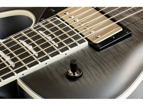 Hagstrom Krona-7 BCC, detalje 5