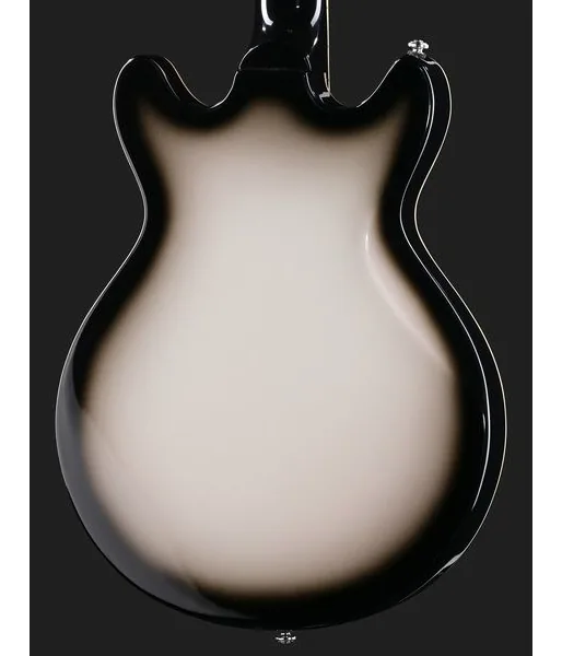 Hagstrom Megin Grey Burst, detalje 5