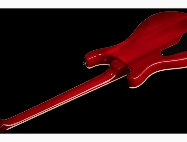 Harley Benton CST-24 Paradise Flame w/Case, detalje 4