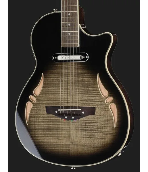 Harley Benton Nashville-Steel, detalje 4