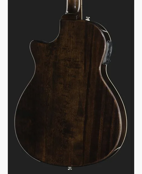 Harley Benton Nashville-Steel, detalje 5