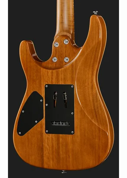 Harley Benton Fusion-IV HH MN FNT, detalje 5
