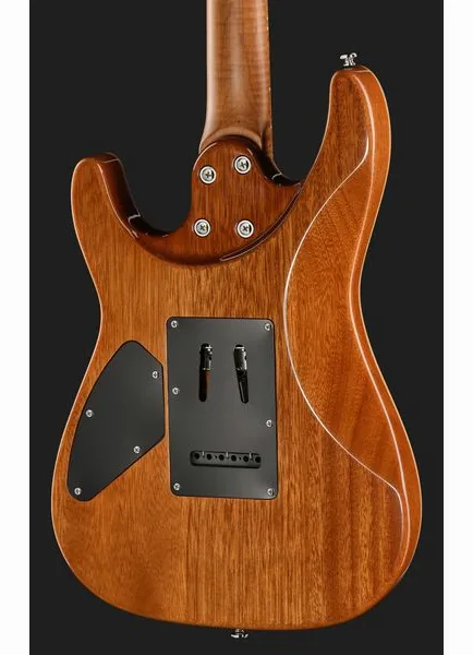 Harley Benton Fusion-IV HH MN OTC, detalje 5